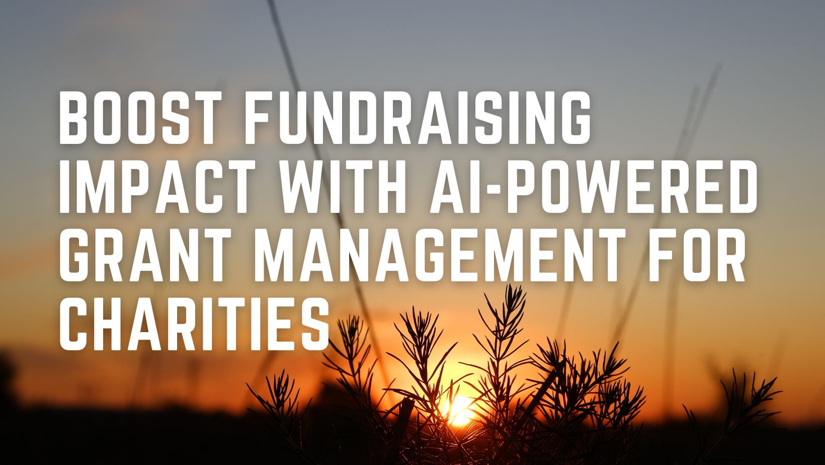 Boost Fundraising Impact with AI-Powered Grant Management for Charities