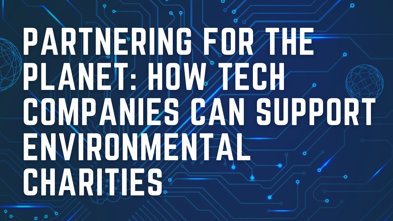 Partnering for the Planet: How Tech Companies Can Support Environmental Charities