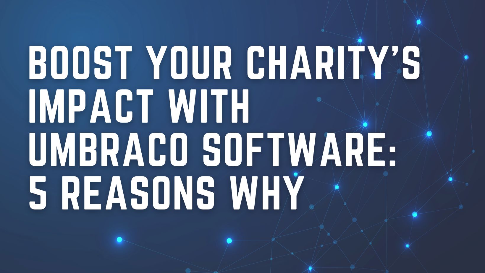 Boost Your Charity's Impact with Umbraco Software: 5 Reasons Why
