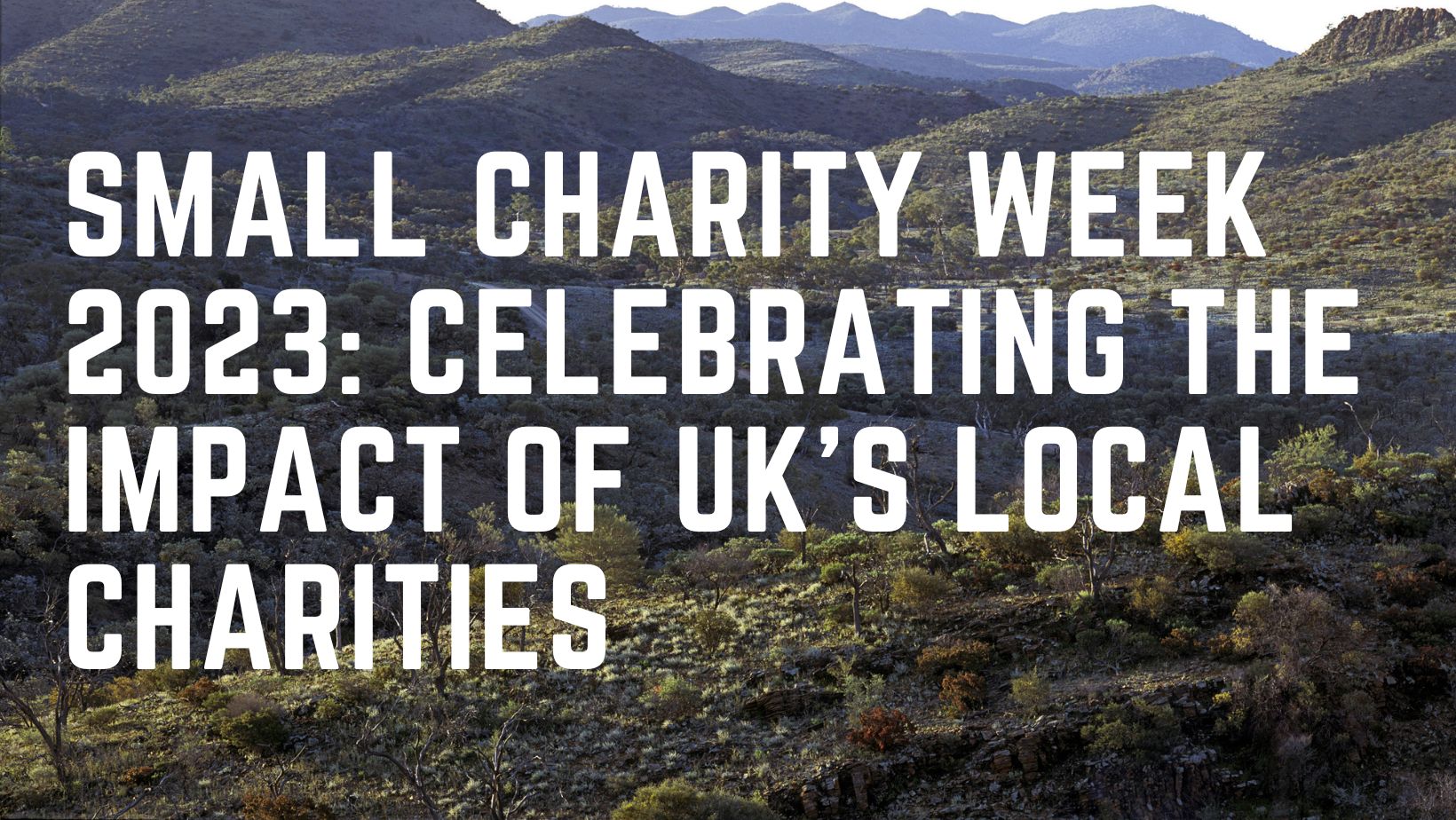 Small Charity Week 2023: Celebrating the Impact of UK's Local Charities
