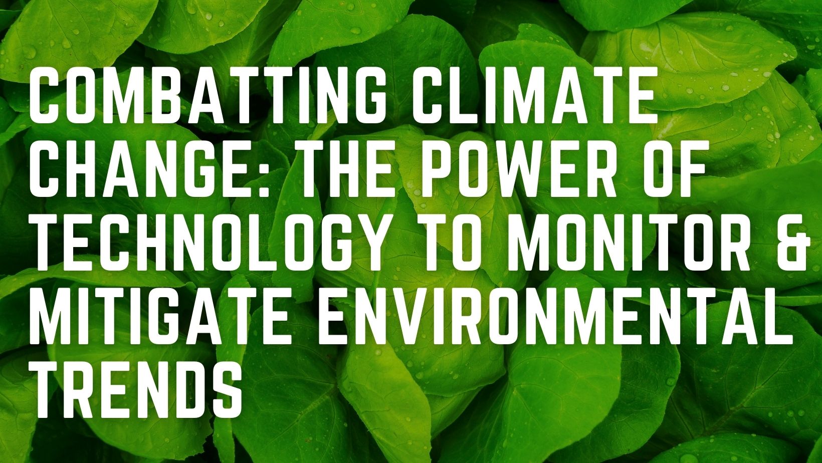 Combatting Climate Change: The Power of Technology to Monitor and Mitigate Environmental Trends