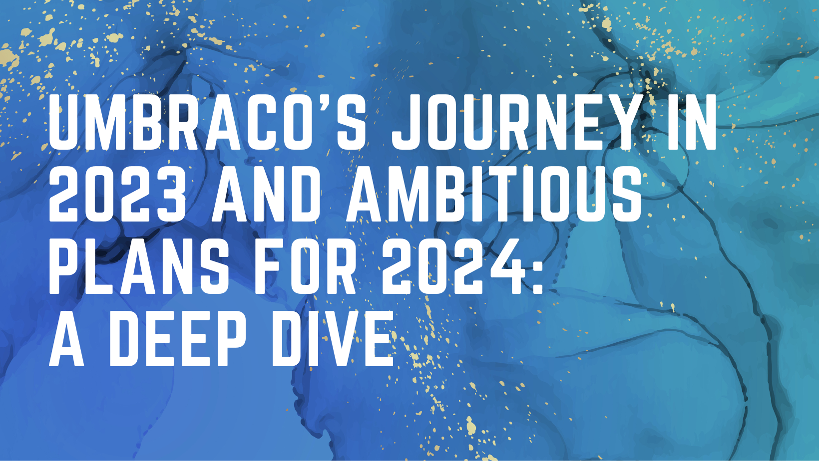 Umbraco's Journey in 2023 and Ambitious Plans for 2024: A Deep Dive