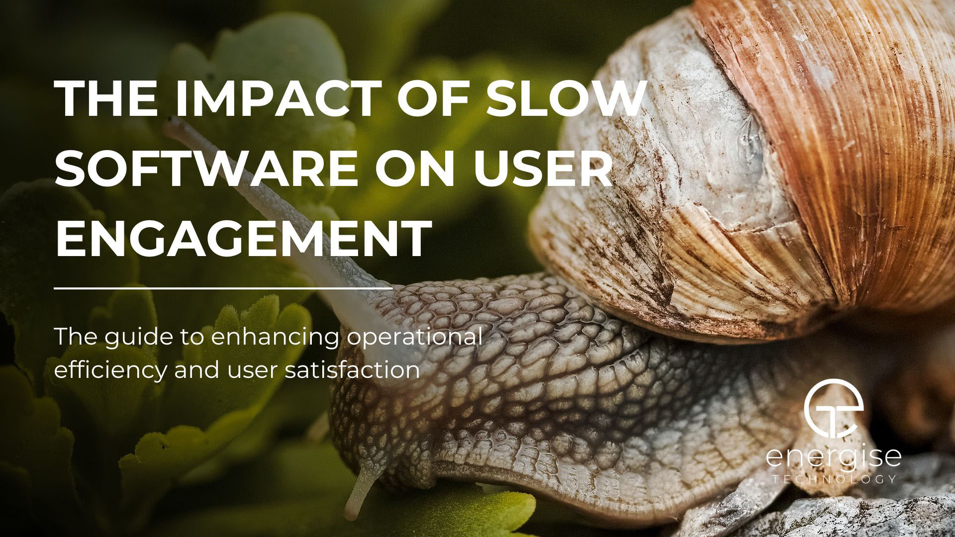 The Impact of Slow Software on User Engagement