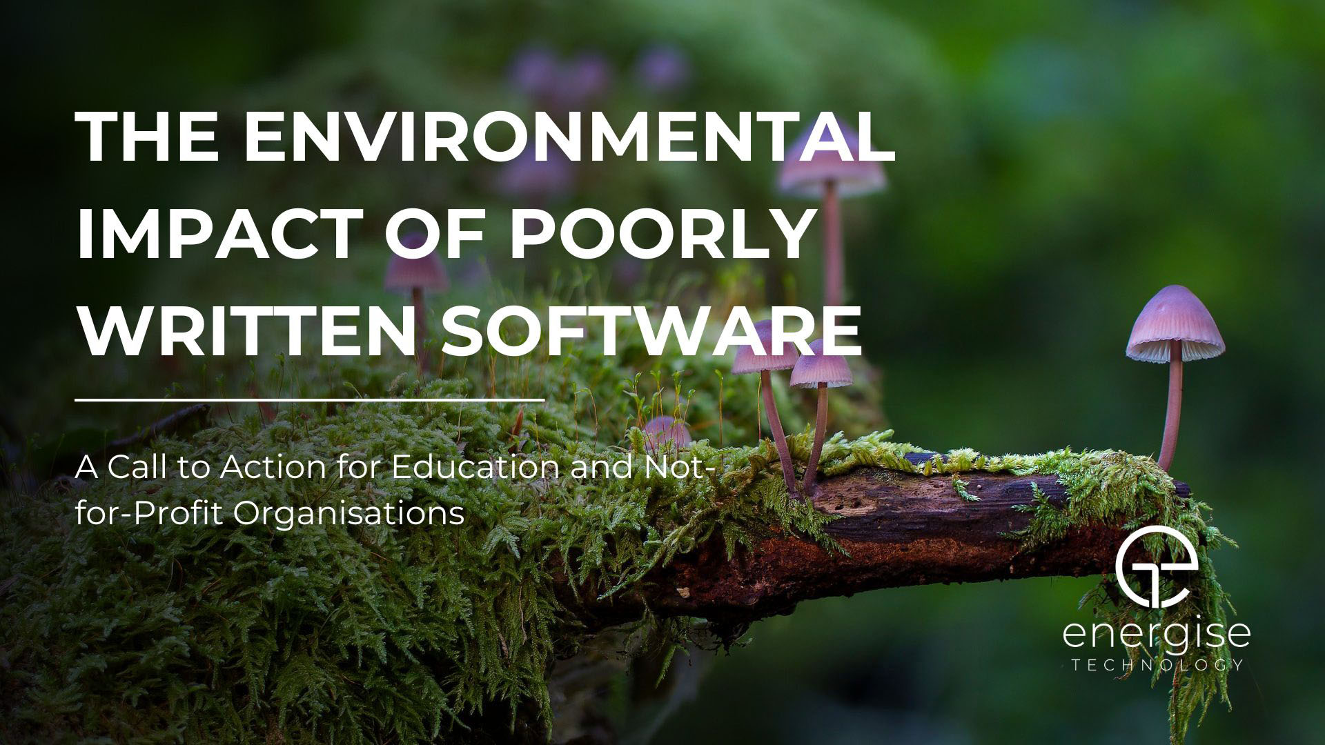 The Environmental Impact of Poorly Written Software: A Call to Action for Education and Not-for-Profit Organisations