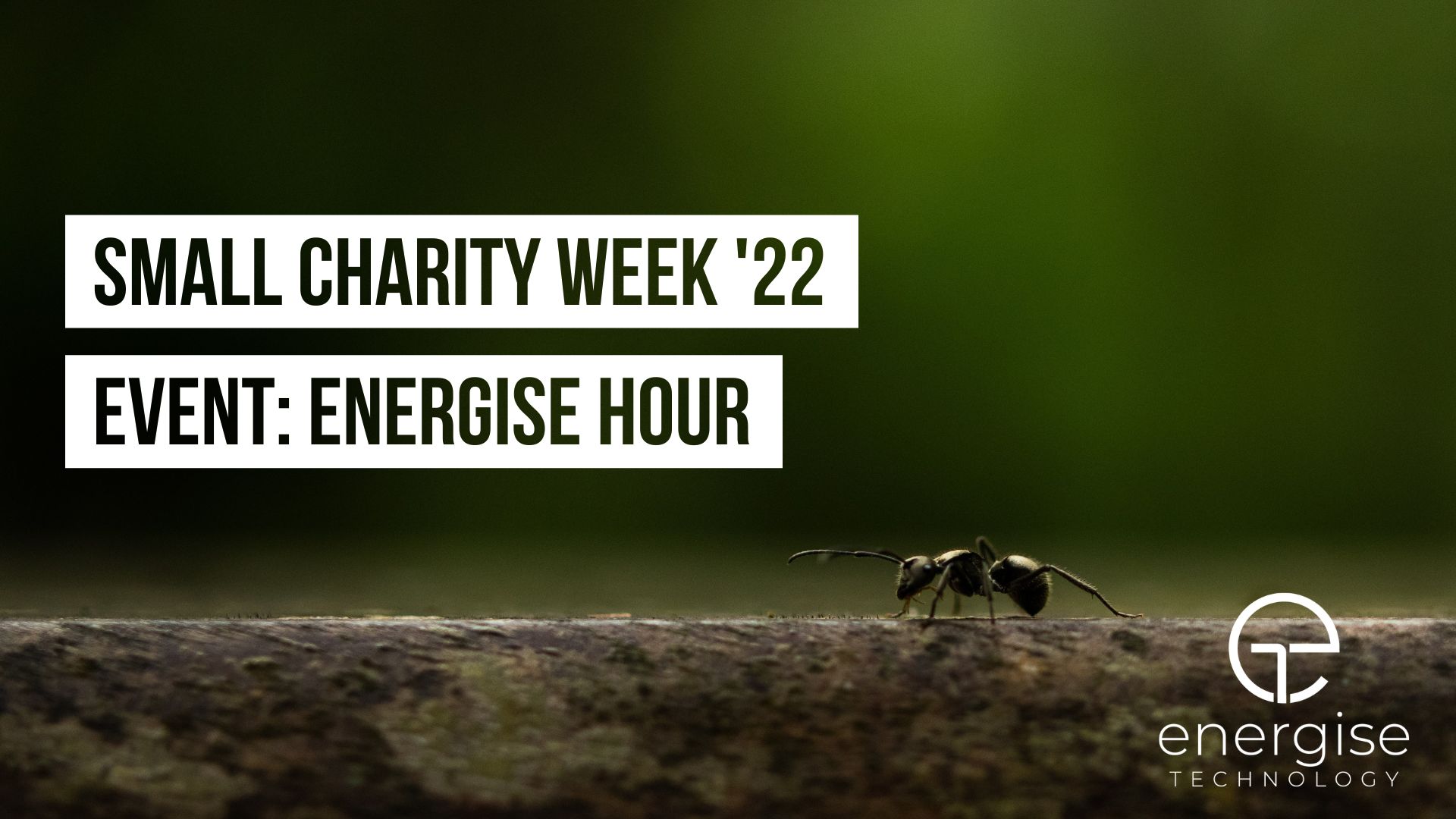 Energise Hour: Digital Advice, Guidance & Support Session as part of Small Charity Week 2022!