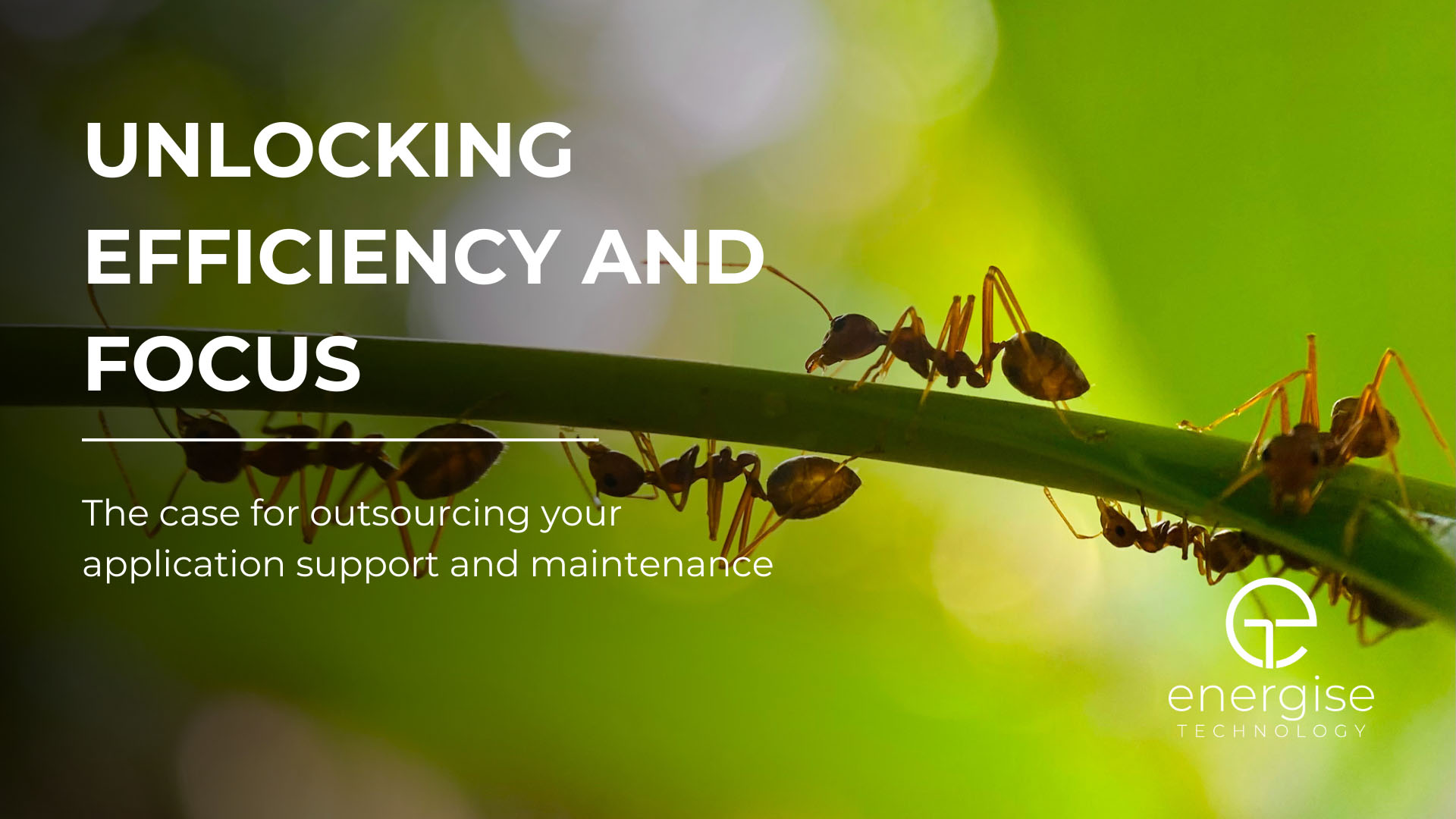 Unlocking efficiency & focus: The case for outsourcing your application support and maintenance
