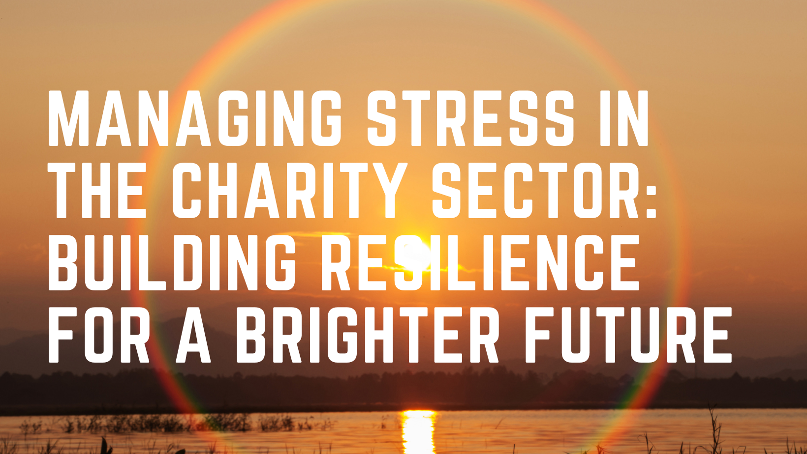 Managing Stress in the Charity Sector: Building Resilience for a Brighter Future