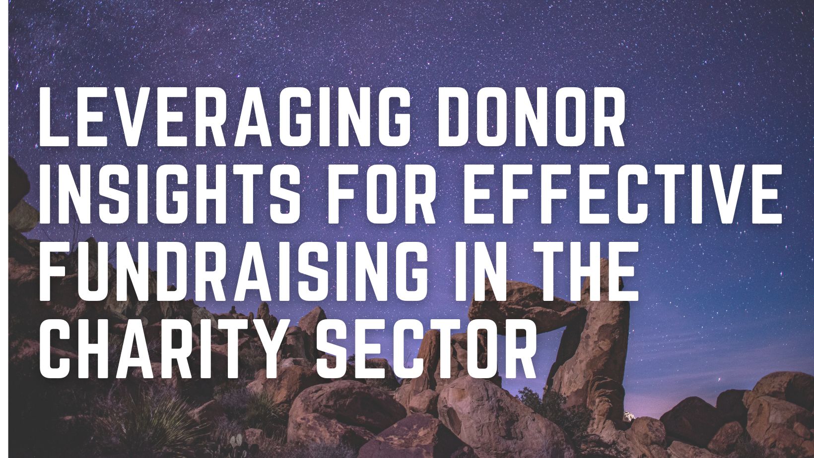 Maximising Fundraising Potential: Understanding Donor Insights in the Charity Sector