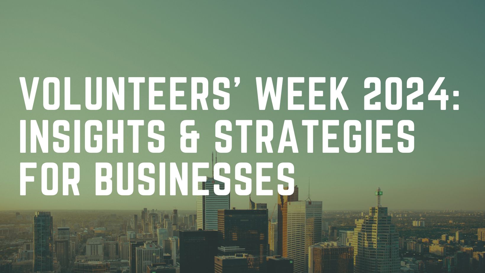 Volunteers' Week 2024: Essential Insights and Strategies for Businesses