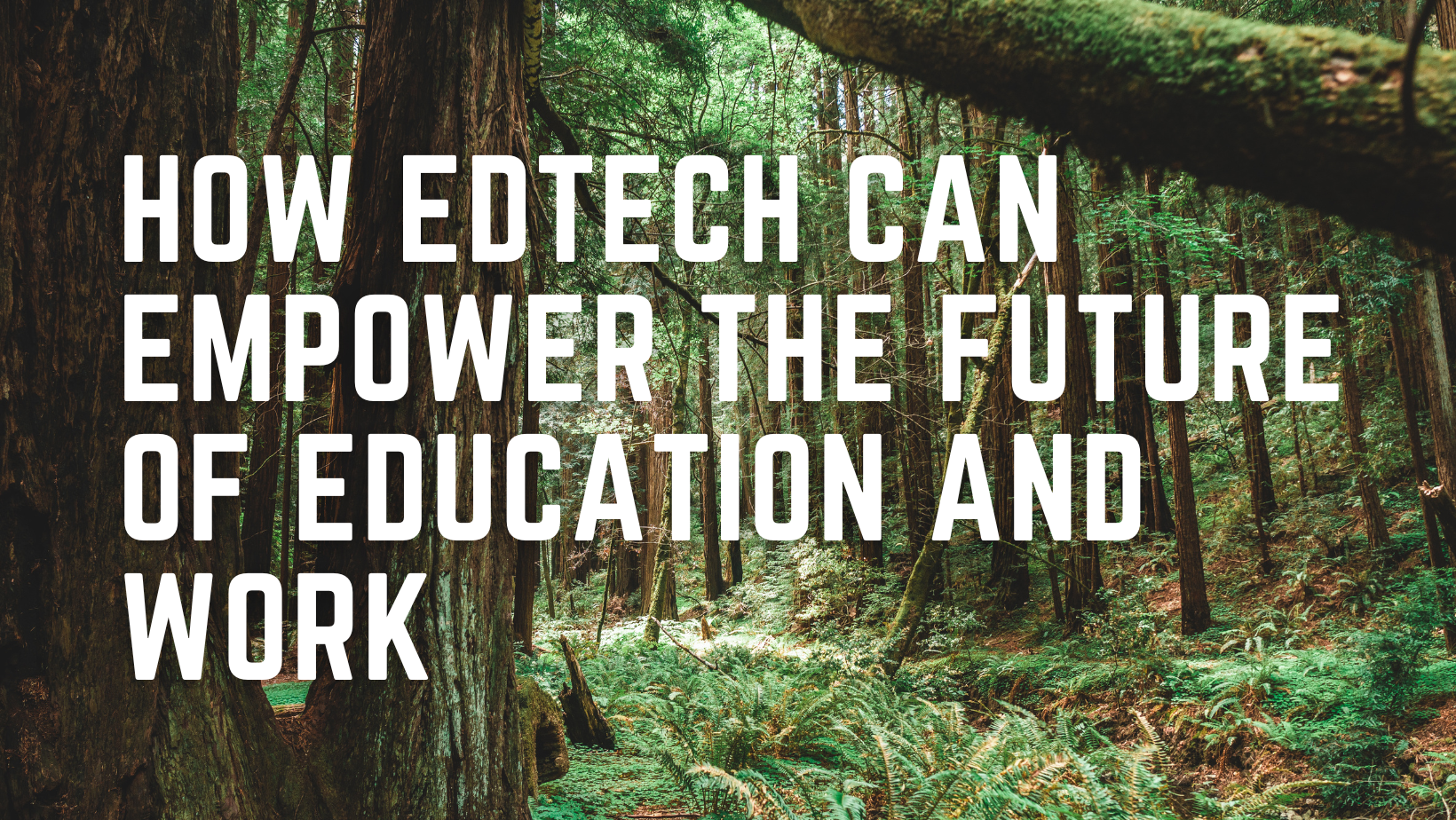 How EdTech Can Empower the Future of Education and Work